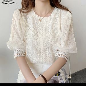 NWOT Gorgeous Lace Blouse